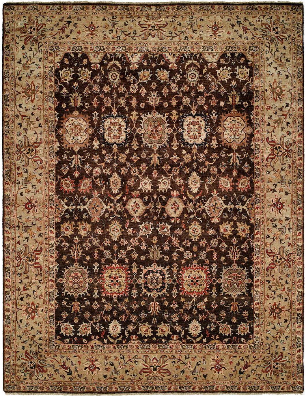 TAHARA Beiges/Browns 377